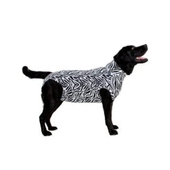 Medical Pet Shirt Hond Zebra Print -Beste Hondenartikelen Winkel 0f9a9f5fffdff5efe6594b6dde2fa2ebe79eb5a6ac69d24ed2fecf0d63c927a3 4