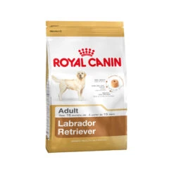 Royal Canin Labrador Retriever Adult - Hondenvoer -Beste Hondenartikelen Winkel 3da42596fc5f963c49b1dc4e1754d73bd808f78519e1d01deaf431f4a8f121d5 4