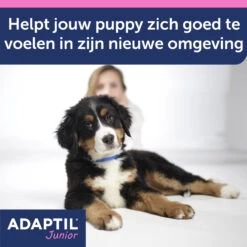Adaptil Halsband - Junior 13 Adaptil Halsband - Junior -Beste Hondenartikelen Winkel 3gIEoBqQiP1u6QnSYa9iRNNOP2PfnQ metaQWRhcHRpbC1KdW5pb3ItY29sbGFyLUNhcm91c3NlbC0yLmpwZw