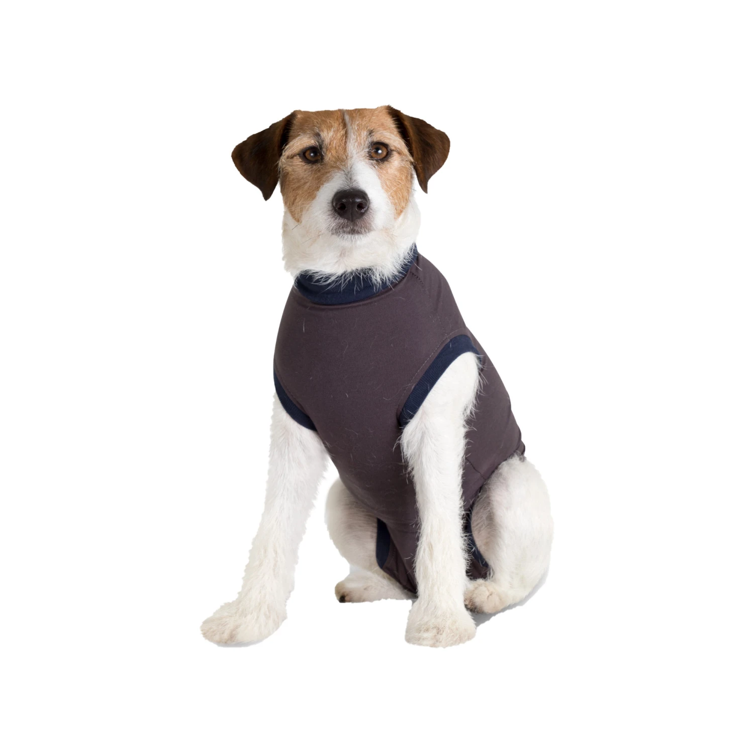 Jacketz Medical Body Suit Hond 22 Jacketz Medical Body Suit Hond - Afbeelding 20
