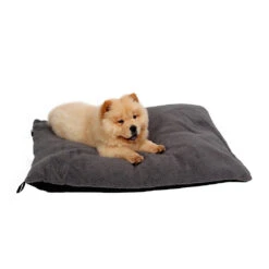 51 Degrees North Sheep Hondenkussen -Beste Hondenartikelen Winkel 51 degrees north sheep hondenkussen 141479 1000 none