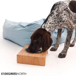 51 Degrees North Voerbak Teak High -Beste Hondenartikelen Winkel 51 degrees north voerbak teak high 211085 1000 none