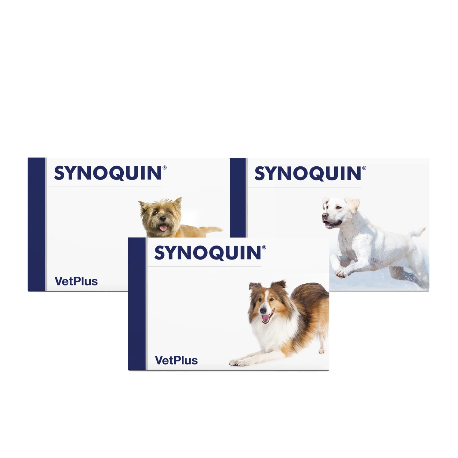Vetplus Synoquin 5 Vetplus Synoquin - Afbeelding 3