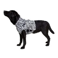 Medical Pet Top Shirt - Zebraprint -Beste Hondenartikelen Winkel 66d9a6355b1f7009e7a9c11e84c02dd14e554ff702966a3f17951206721a6300 3