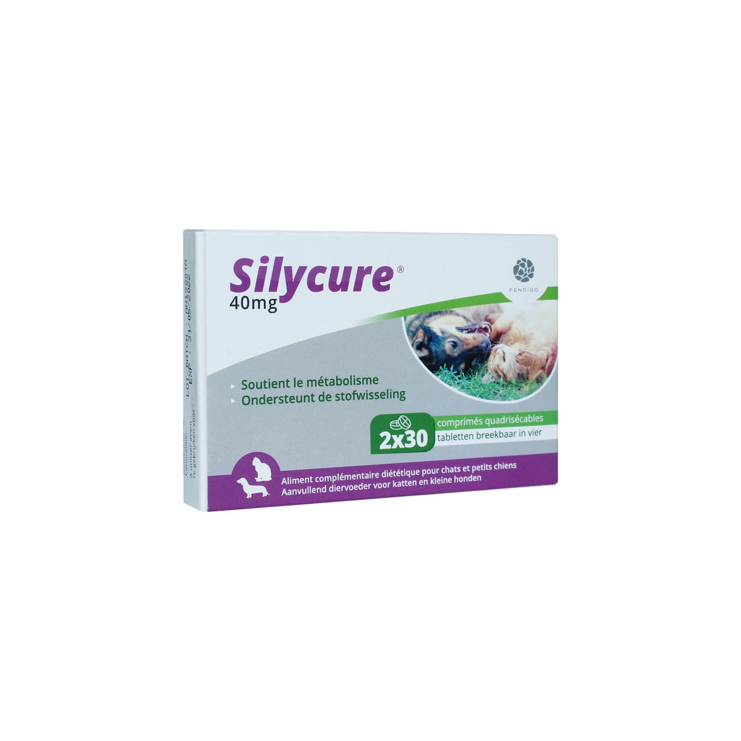 Silycure 3 Silycure
