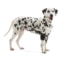 Kruuse Rehab Elleboogbeschermer 7 Kruuse Rehab Elleboogbeschermer -Beste Hondenartikelen Winkel 707a1307f57d4b5032cf99e3784b03141ed01b9c9317fa83ee1f29943ae9e06b 4