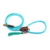 DWAM Hondenriem Turquoise -Beste Hondenartikelen Winkel 7d5747836b95a8a792c7d9a2fd850bb8a185ae93c9828376555b73b6d9d7edbf 3