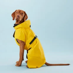 PAIKKA Visibility Raincoat Lite Yellow -Beste Hondenartikelen Winkel PClMHEr7OU9sOGs5uS5yRaglBqAzmp metaUGFpa2thLVZpc2liaWxpdHktUmFpbmNvYXQtTGl0ZS1ZZWxsb3czLmpwZw