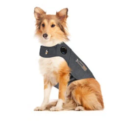 Thundershirt Hond -Beste Hondenartikelen Winkel RM4aKjWpKSrS2PZqqxugnou7ShRMkF metadGh1bmRlcnNoaXJ0X2hvbmRfMjE1OTQyXzA1MDBfbm9uZS5qcGc