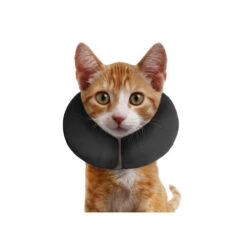 ZenPet Pro Collar -Beste Hondenartikelen Winkel acf3a53e750af16e02f3b6c4def4cf122f33c26a00c663a14593321940f579ed 3