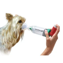 AeroDawg Inhalatiesysteem -Beste Hondenartikelen Winkel aerodawg inhalatiesysteem 134986 2000 none