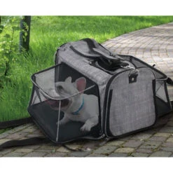 All For Paws AFP Travel Dog - Rolling Pet Carrier 11 All For Paws AFP Travel Dog - Rolling Pet Carrier -Beste Hondenartikelen Winkel afp travel dog rolling pet carrier 213521 0500 none