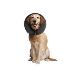 ZenPet Pro Collar -Beste Hondenartikelen Winkel b9d301add6d39657a966c48b72bc7ff13db7aeea42aea421ed1c8706f3dc0c4f 3