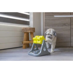 Beeztees Brain Game Rodar -Beste Hondenartikelen Winkel beeztees brain game rodar 221756 2000 none