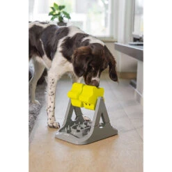 Beeztees Brain Game Rodar -Beste Hondenartikelen Winkel beeztees brain game rodar 221757 2000 none