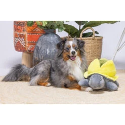 Beeztees Hide And Seek Schildo -Beste Hondenartikelen Winkel beeztees hide and seek schildo 221787 2000 none