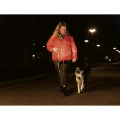 Beeztees Safety Gear Parinca Premium Hondenriem -Beste Hondenartikelen Winkel beeztees safety gear parinca premium hondenriem 215042 2000 none