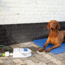 Beeztees Splashy Waterfontein -Beste Hondenartikelen Winkel beeztees splashy waterfontein 163285 2000 none