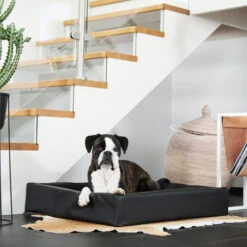 Bia Bed Original Grijs 20 Bia Bed Original Grijs -Beste Hondenartikelen Winkel bia bed original grijs 164170 0500 none