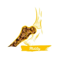 Calibra Dog Expert Nutrition Mobility 12 Calibra Dog Expert Nutrition Mobility -Beste Hondenartikelen Winkel calibra dog expert nutrition mobility 163522 1000 none