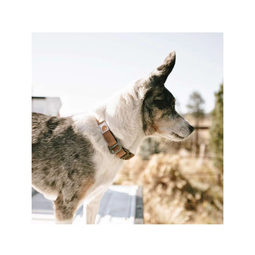 Carhartt Journeyman Collar 6 Carhartt Journeyman Collar - Afbeelding 4