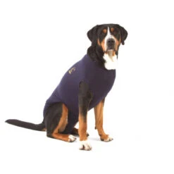 Medical Pet Shirt Hond -Beste Hondenartikelen Winkel d88b602503cd2aa24c666c4355a061a33187fef7c70d91432d47d9b3bab24306 3