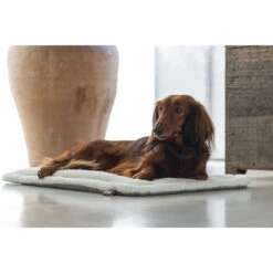 Designed By Lotte Benchkussen Gisel -Beste Hondenartikelen Winkel designed by lotte benchkussen gisel 221516 1000 none