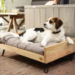 Designed By Lotte Ligmand Turana -Beste Hondenartikelen Winkel designed by lotte ligmand turana 170029 2000 none