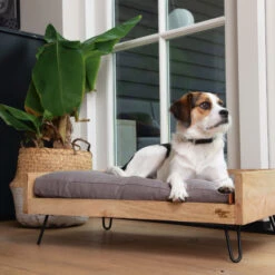 Designed By Lotte Ligmand Turana -Beste Hondenartikelen Winkel designed by lotte ligmand turana 170032 2000 none