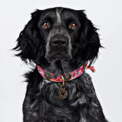 DWAM Halsband Boho Rosa -Beste Hondenartikelen Winkel dwam halsband boho rosa 133649 2000 none