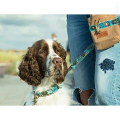 DWAM Hondenriem Boho Juan -Beste Hondenartikelen Winkel dwam hondenriem boho juan 135979 1000 none