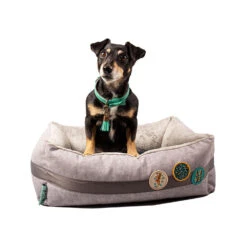 DWAM Jungle Love Mand -Beste Hondenartikelen Winkel dwam jungle love mand 186595 1500 none