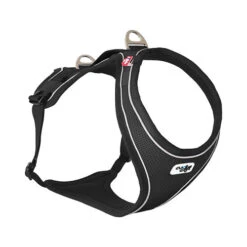 Curli Belka Comfort Harness 27 Curli Belka Comfort Harness -Beste Hondenartikelen Winkel e0d5288b6074718e75ab1008da0e71dd98c128d775e710536b69a992cf9f531f 3