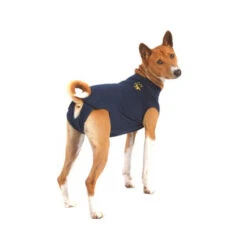 Medical Pet Shirt Hond -Beste Hondenartikelen Winkel e9afae337ec7d06c263cba8647918f4ce8e4647c234dca496bf40a63c9c8a90e 3