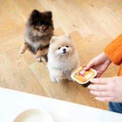 Edgard & Cooper Adult - Kip & Kalkoen - Kuipje -Beste Hondenartikelen Winkel edgard cooper adult kip kalkoen kuipje 168597 2000 none