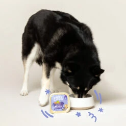 Edgard & Cooper Adult - Rund & Eend - Kuipje -Beste Hondenartikelen Winkel edgard cooper adult rund eend kuipje 168612 2000 none