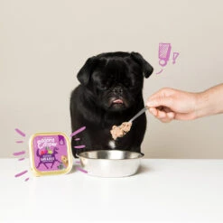 Edgard & Cooper Adult - Wild & Eend - Kuipje -Beste Hondenartikelen Winkel edgard cooper adult wild eend kuipje 168648 1000 none