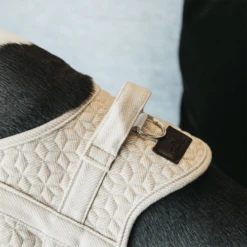 Kentucky Dogwear Hondenharnas Body Safe Wool -Beste Hondenartikelen Winkel fFHNNjQ5np1lDVQv8HWBzhiEXKRfD0 metaS2VudHVja3ktRG9nd2Vhci1Ib25kZW5oYXJuYXMtQm9keS1TYWZlLVdvb2wtYmVpZ2UtZGV0YWlsLnBuZw