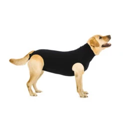 Suitical Recovery Suit Hond - Zwart -Beste Hondenartikelen Winkel fa0e13e2f13f2afe2f8a442d3d97741f85bfcf8eec1c0a1780b298b92bca02aa 3