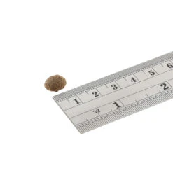 Fish4Dogs Finest Adult Complete - Sardine Kleine Brok -Beste Hondenartikelen Winkel fish4dogs finest adult complete sardine kleine brok 160934 1000 none