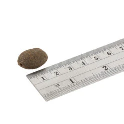 Fish4Dogs Finest Adult Complete - Zalm Grote Brok -Beste Hondenartikelen Winkel fish4dogs finest adult complete zalm grote brok 160940 1000 none