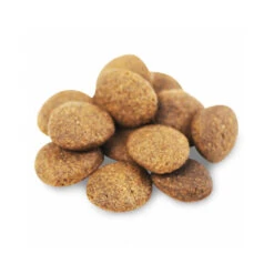 Fish4Dogs Finest Adult Complete - Zalm Grote Brok -Beste Hondenartikelen Winkel fish4dogs finest adult complete zalm grote brok 160943 1000 none