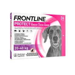 Frontline Protect Hond Spot On -Beste Hondenartikelen Winkel frontline protect hond spot on 192797 0500 none