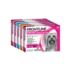 Frontline Protect Hond Spot On -Beste Hondenartikelen Winkel frontline protect hond spot on 192809 2000 none
