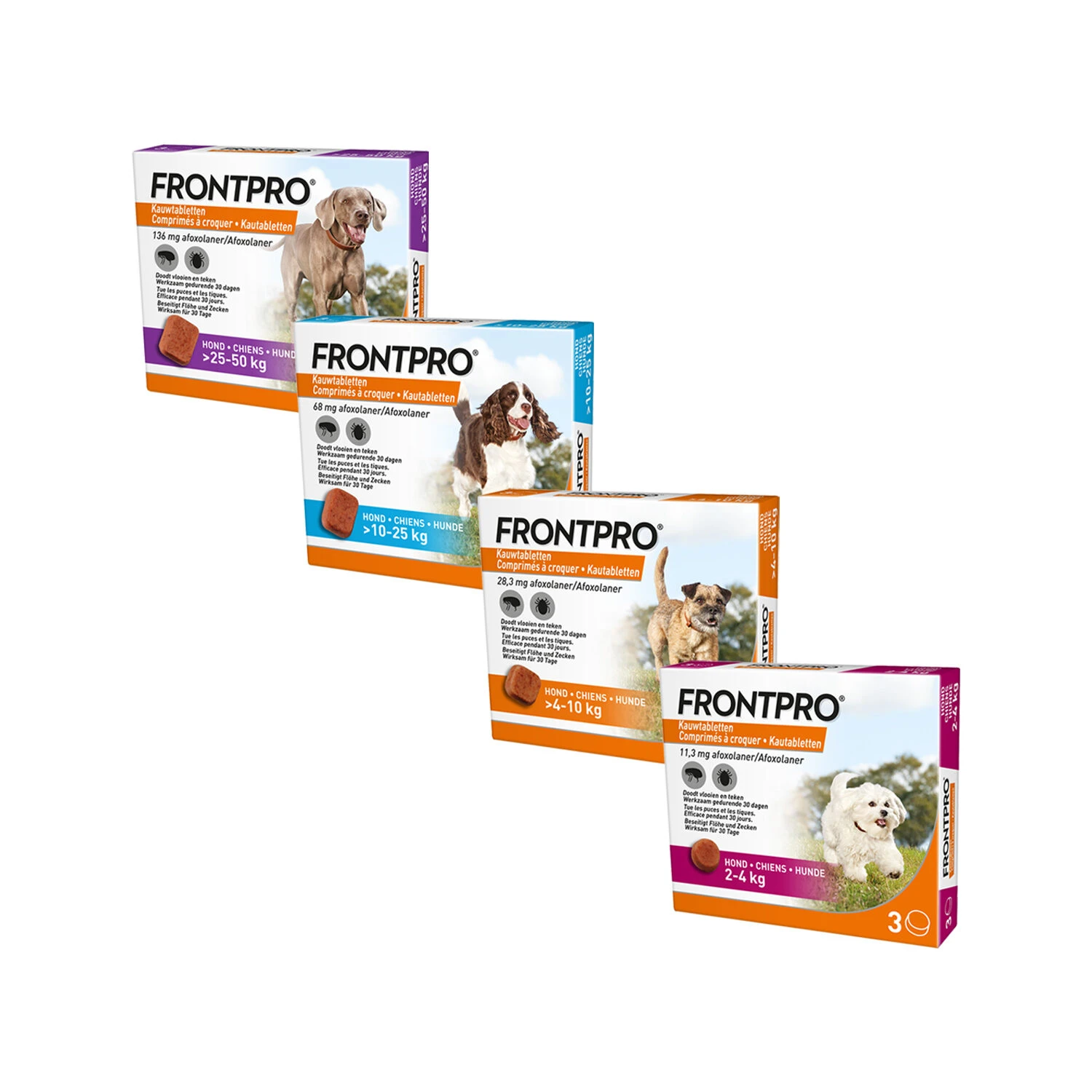 FRONTPRO Kauwtabletten Hond 16 FRONTPRO Kauwtabletten Hond - Afbeelding 14
