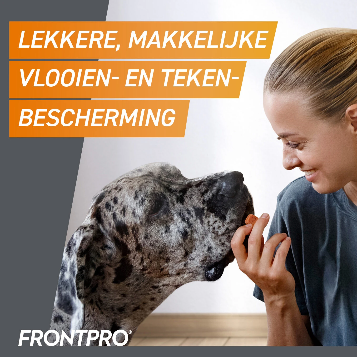 FRONTPRO Kauwtabletten Hond 20 FRONTPRO Kauwtabletten Hond - Afbeelding 18