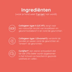 Greenfields Mobility+ -Beste Hondenartikelen Winkel greenfields mobility 208394 2000 none