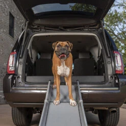 Happy Ride Compact Telescoping Dog Ramp 8 Happy Ride Compact Telescoping Dog Ramp -Beste Hondenartikelen Winkel happy ride compact telescoping dog ramp 162826 1000 none