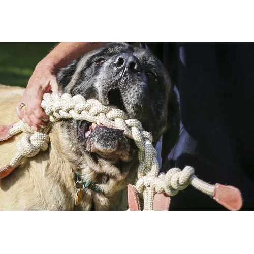 HuggleHounds Rope Knotties Monkey 7 HuggleHounds Rope Knotties Monkey - Afbeelding 5