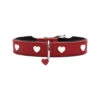 Hunter Collar Love -Beste Hondenartikelen Winkel hunter collar love 37xs s 137815 1000 none